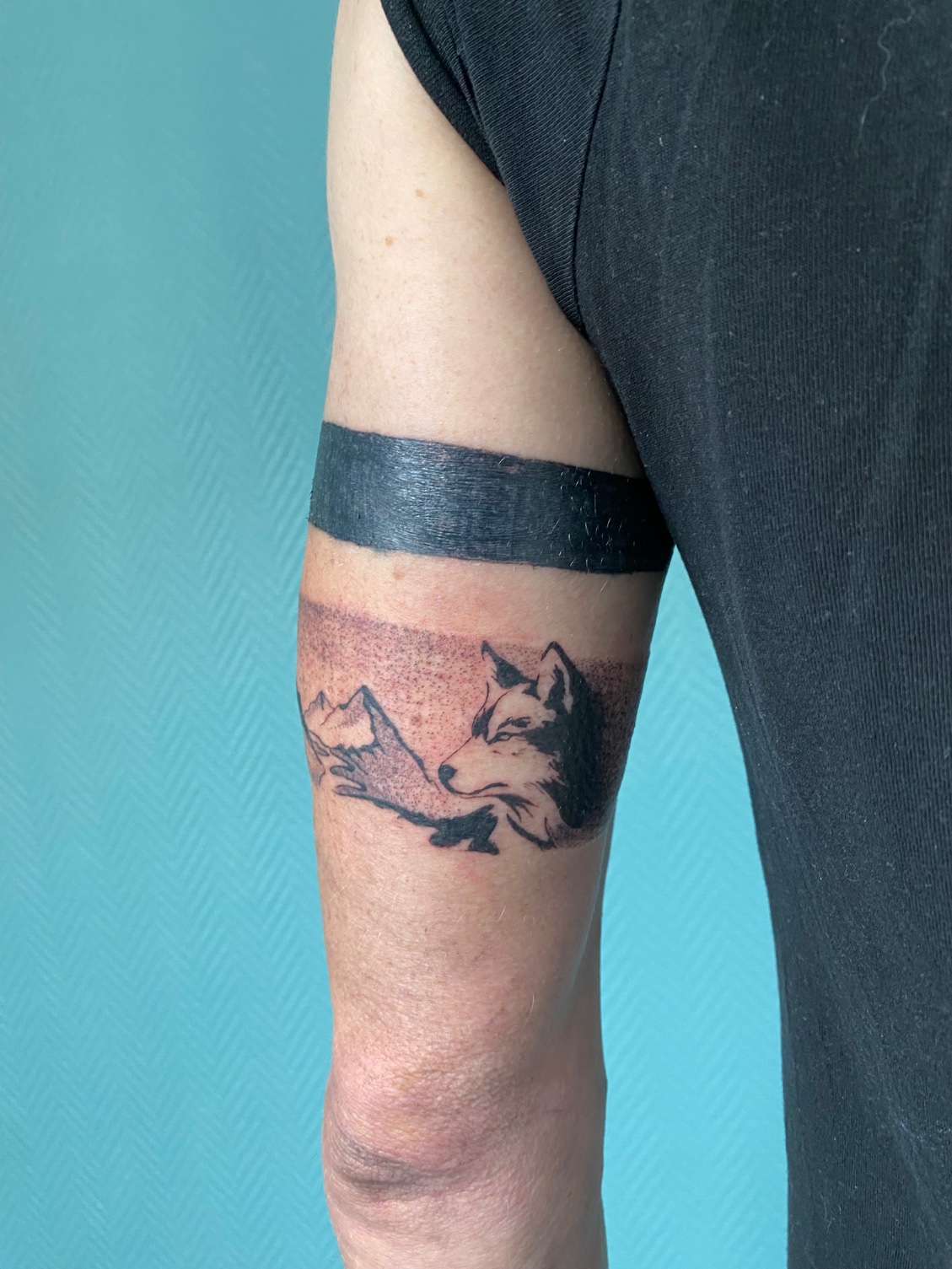 Tatouage tour de bras graphique et wip sur le thème de la nature
